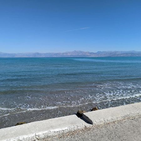 Dolphin Apt & Studios -Next To The Beach 로다 외부 사진