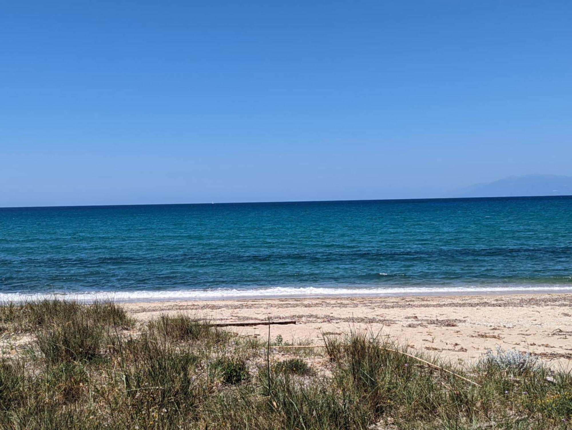 Dolphin Apt & Studios -Next To The Beach 로다 외부 사진